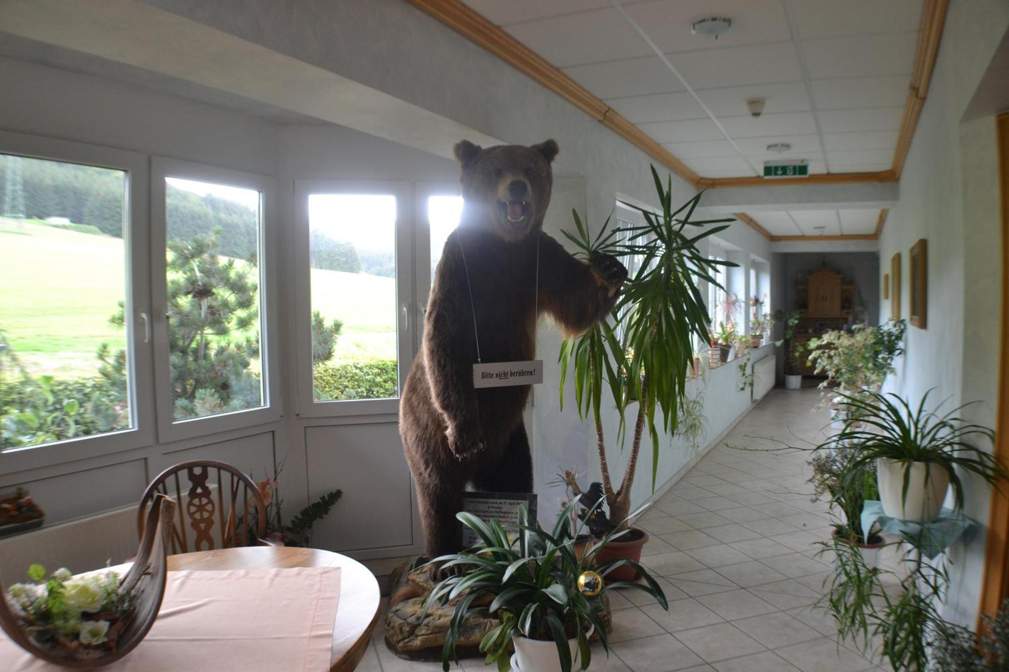 Landhotel Gasthof Wuellner Winterberg Exterior photo